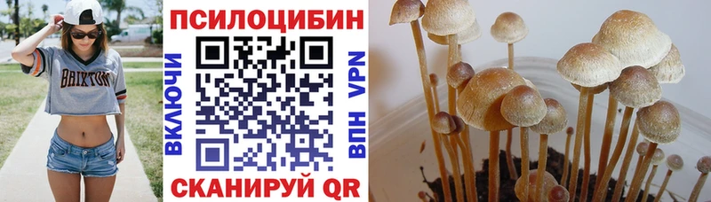 Галлюциногенные грибы мухоморы  как найти закладки  Беломорск 
